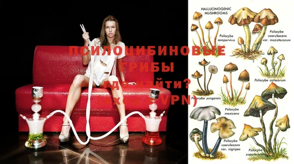 метамфетамин Алексеевка
