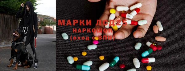 спиды Алзамай