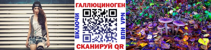 Галлюциногенные грибы MAGIC MUSHROOMS Дмитриев