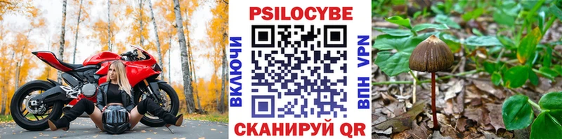 Галлюциногенные грибы мухоморы Дмитриев