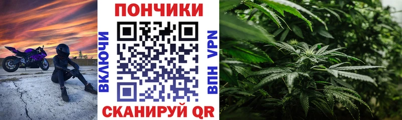 Марихуана THC 21%  Дмитриев 